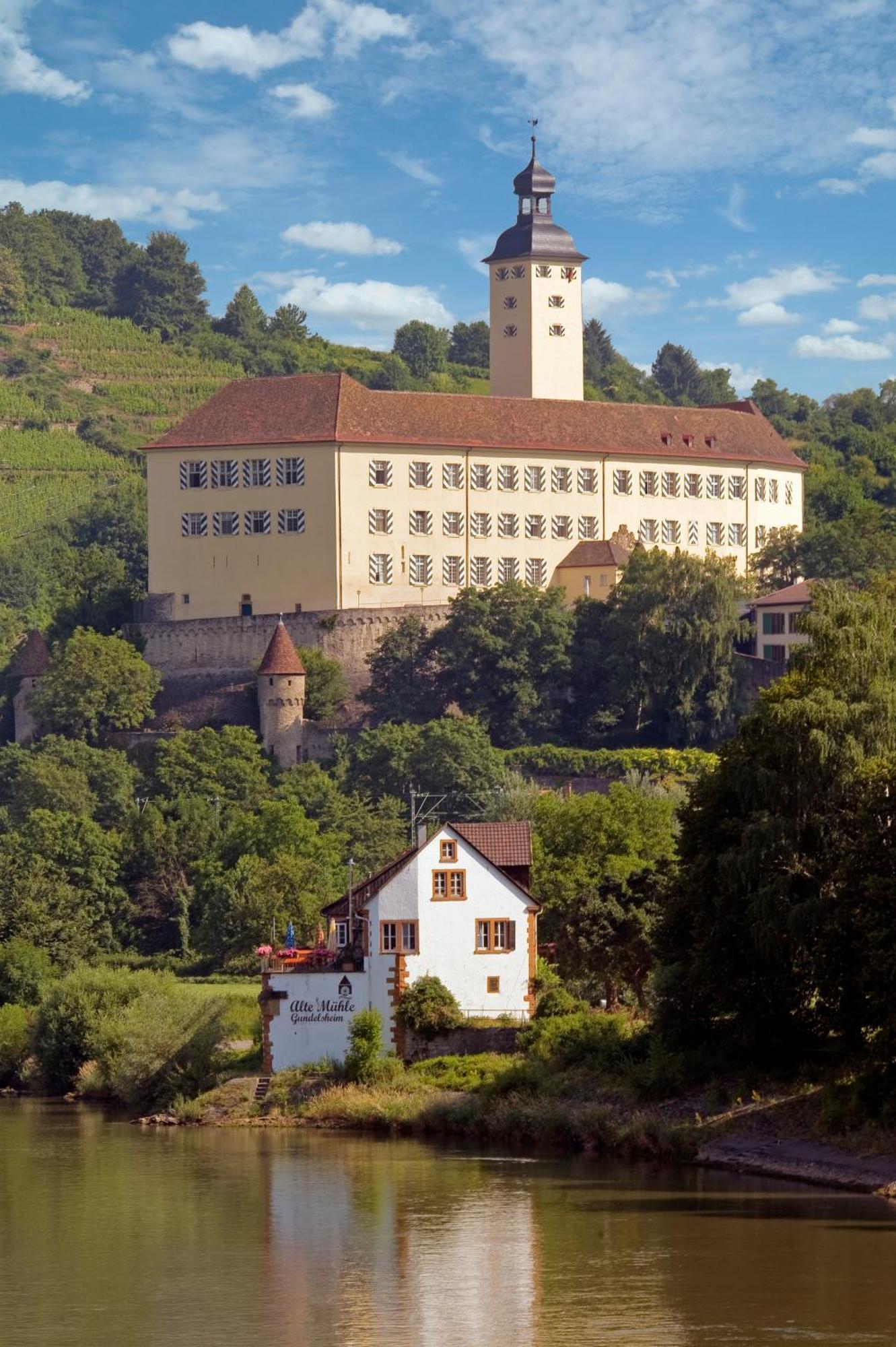 Hotel Schell Schokoladen Gundelsheim  Exterior foto